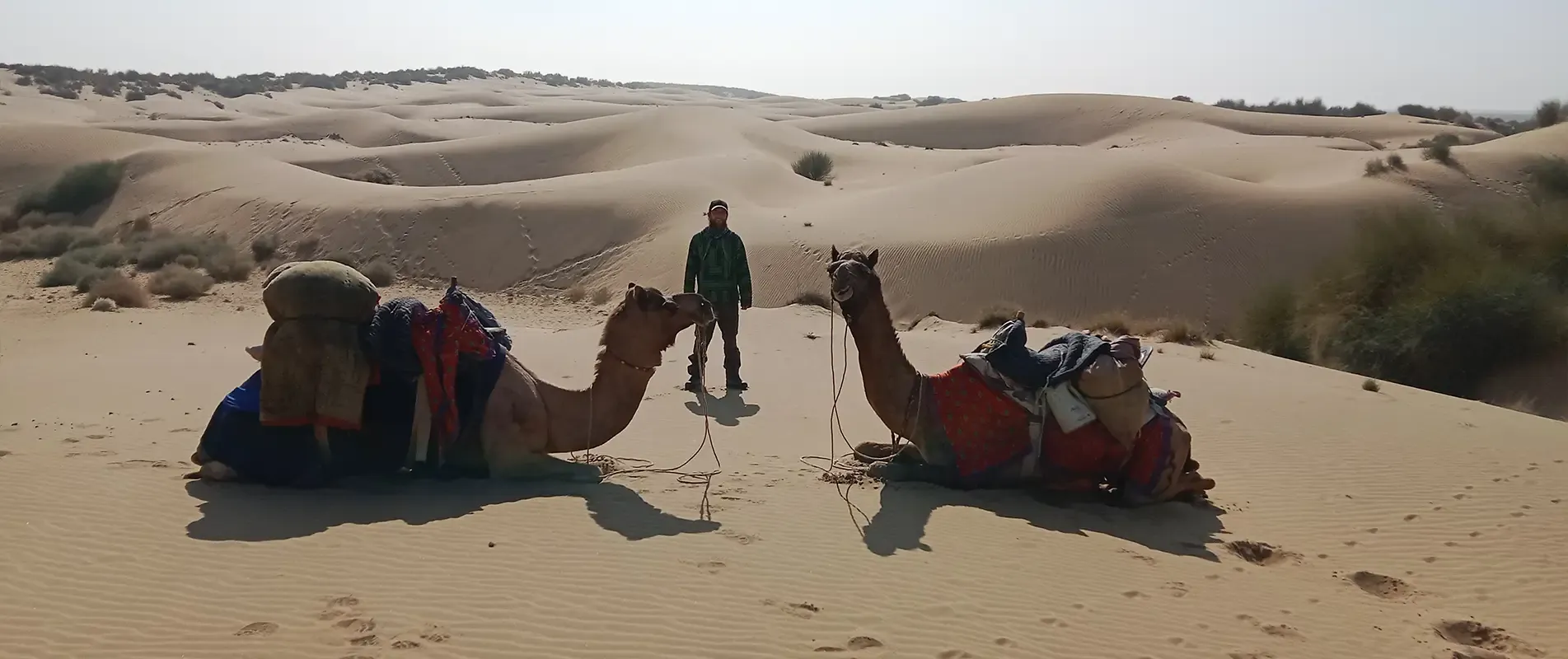 Thar Desert dunes near Jaisalmer at dusk