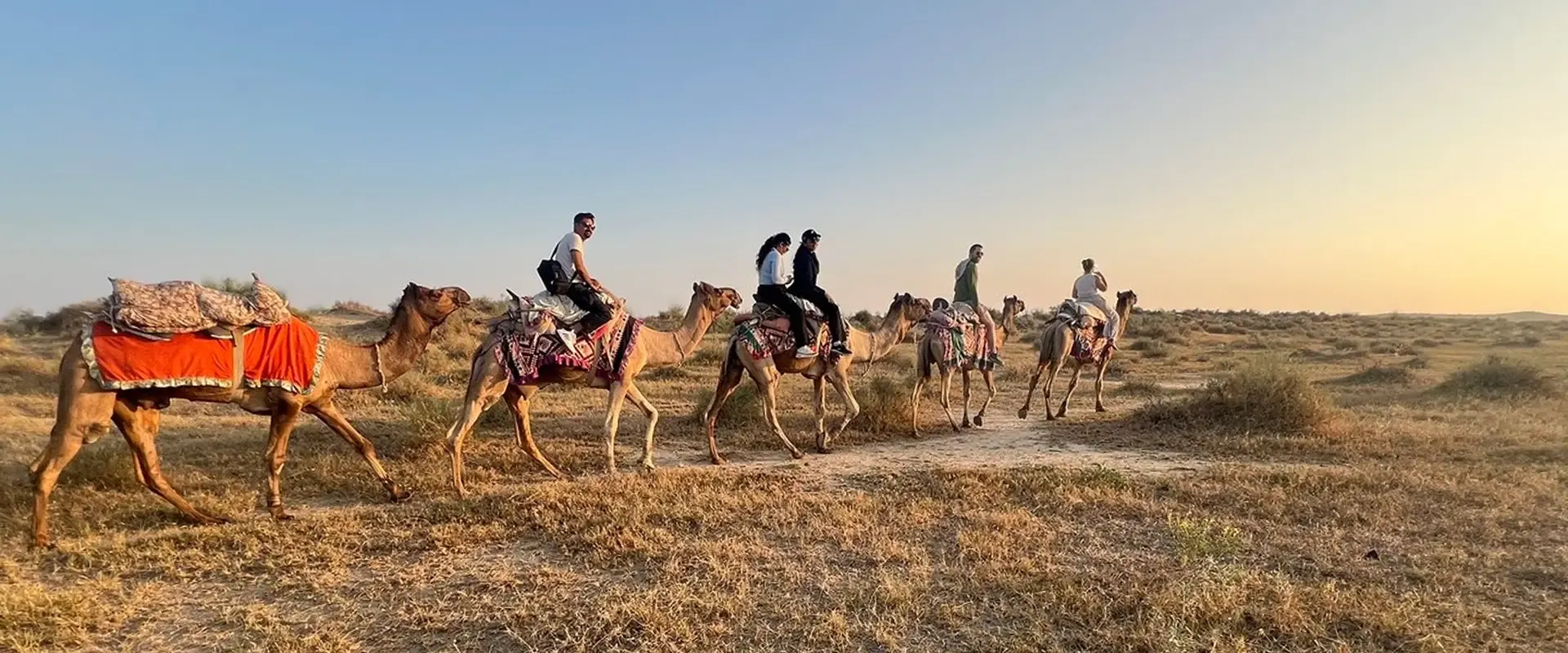 Real Desert Odyssey — camel safari in the Thar Desert near Jaisalmer